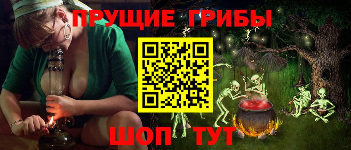 Псилоцибиновые грибы Cubensis  Псилоцибиновые грибы мицелий  Вязники  Вход с VPN 